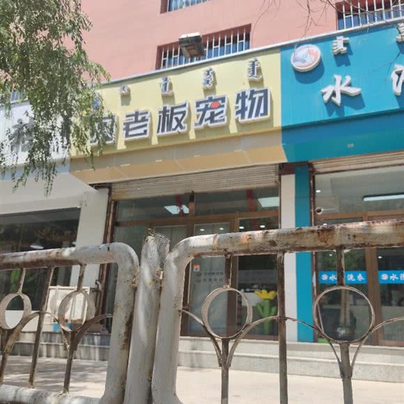 贝老板宠物:包头市东河区通顺商贸/环西附近