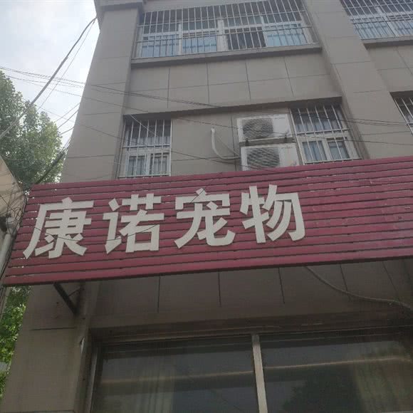 康诺宠物医院:潍坊市寿光市