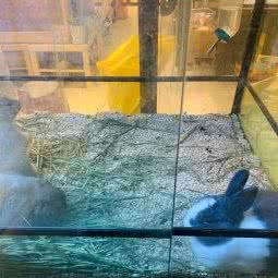 蜜境:北京城区朝阳区十里河附近