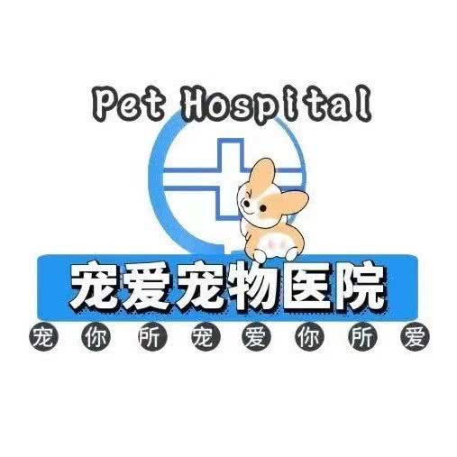 宠爱宠物医院:潍坊市寿光市