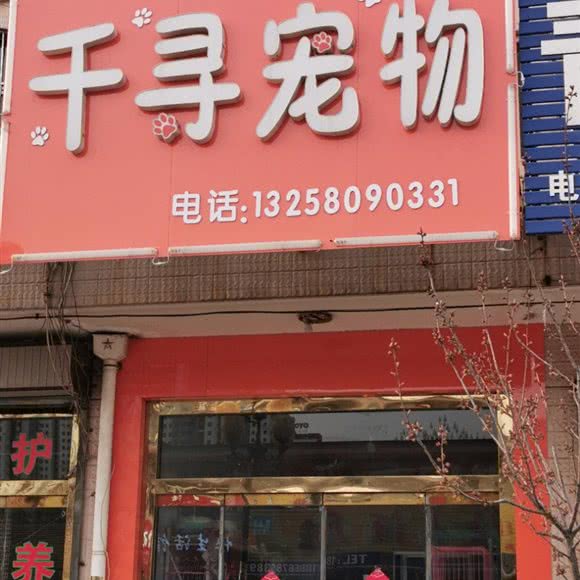 千寻宠物:潍坊市安丘市