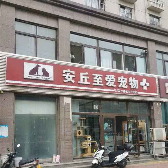 安丘至爱宠物:潍坊市安丘市