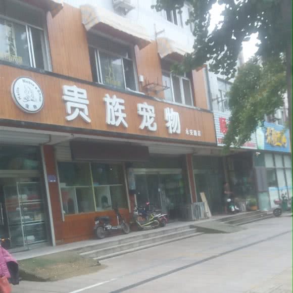 贵族宠物(永安路店):潍坊市高密市