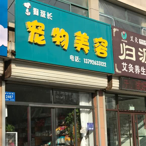 狗班长宠物美容:潍坊市高密市