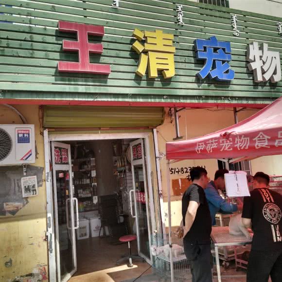 王清宠物:包头市东河区红星附近