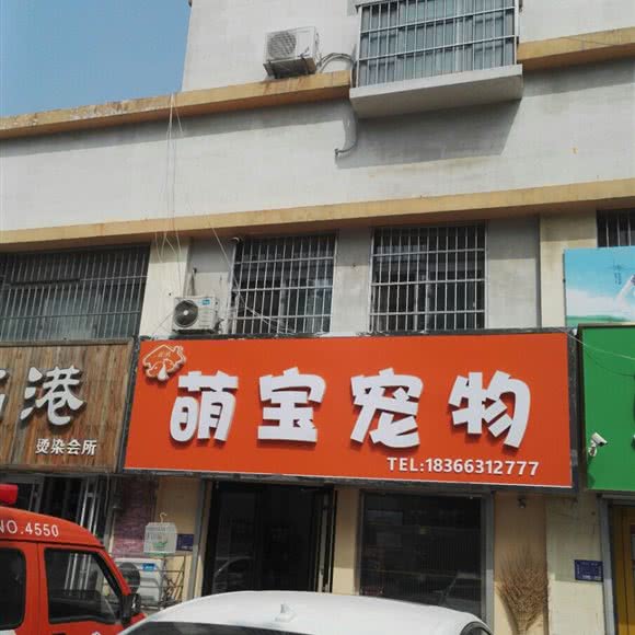 萌宝狗狗:潍坊市高密市