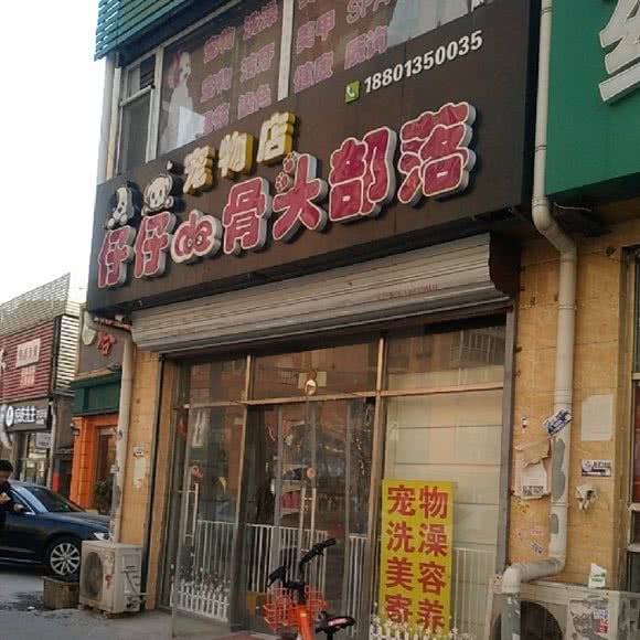 仔仔余家宠物店:北京城区朝阳区十里河附近