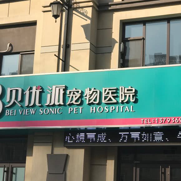贝优派宠物医院:潍坊市高密市