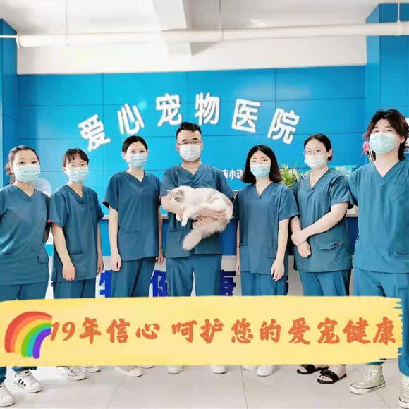 爱心宠物医院:潍坊市高密市