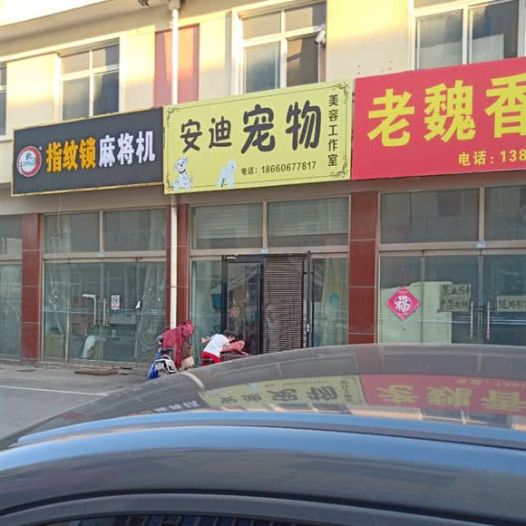 安迪宠物:潍坊市昌邑市