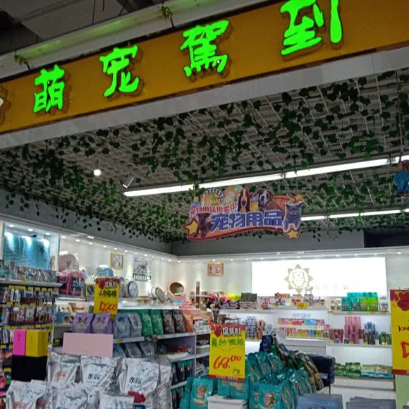 萌宠驾到:潍坊市昌邑市