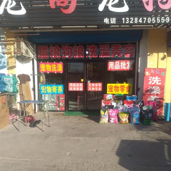 宠尚宠物狗:包头市东河区红星附近
