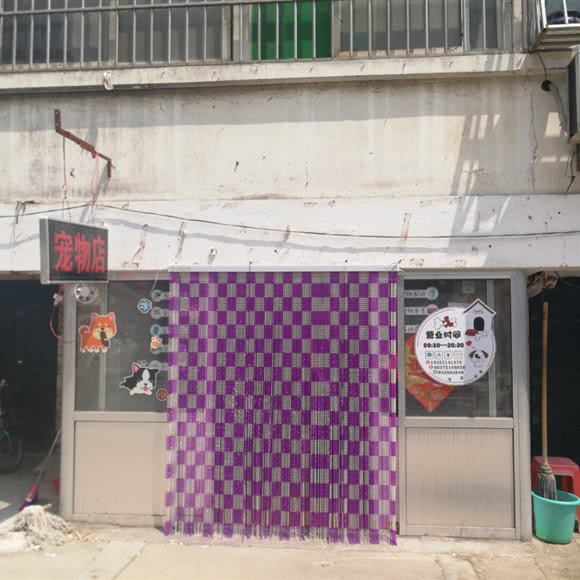 宠物店:济宁市任城区