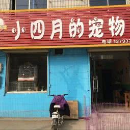 小四月的宠物店:济宁市兖州区