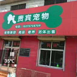 贵宾宠物:济宁市兖州区