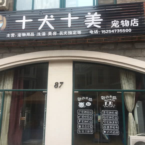十犬十美宠物店:济宁市兖州区