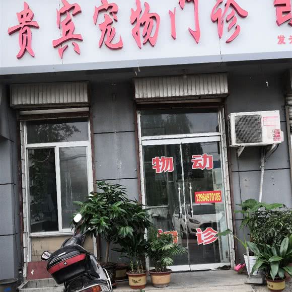 贵宾宠物门诊:济宁市兖州区