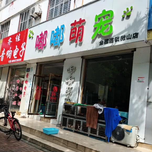 嘟嘟萌宠:济宁市微山县