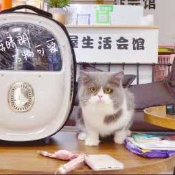 爱宠屋生活会馆:济宁市鱼台县