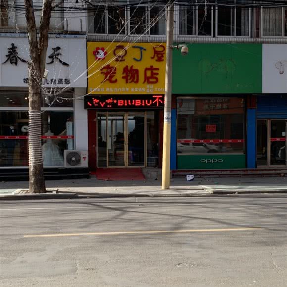 豆丁屋宠物店:济宁市金乡县