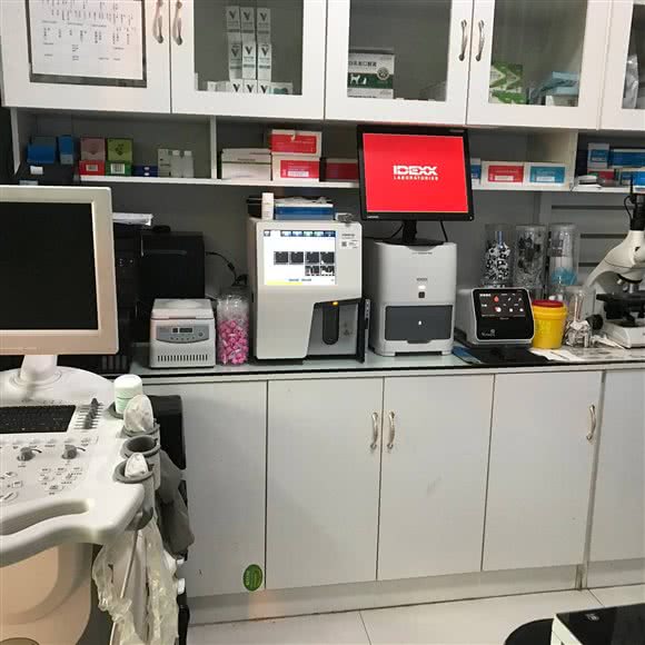 金乡博爱宠物医院:济宁市金乡县