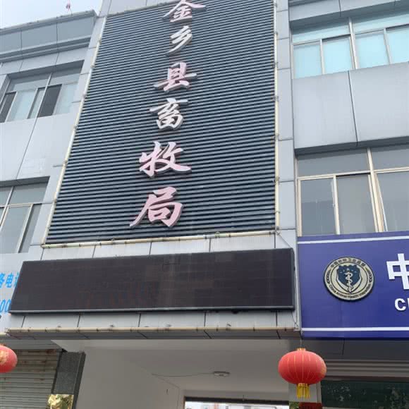金乡县畜牧局兽医站:济宁市金乡县