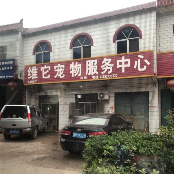 维它宠物服务中心:济宁市嘉祥县
