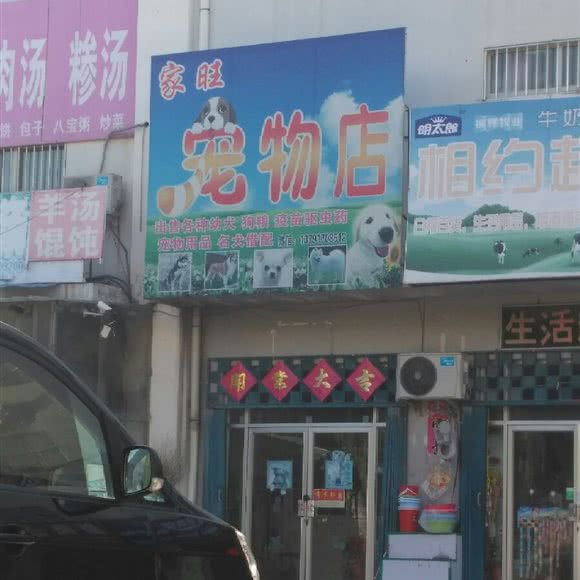 家旺宠物店:济宁市嘉祥县
