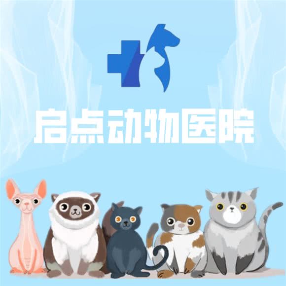 启点动物医院:济宁市嘉祥县