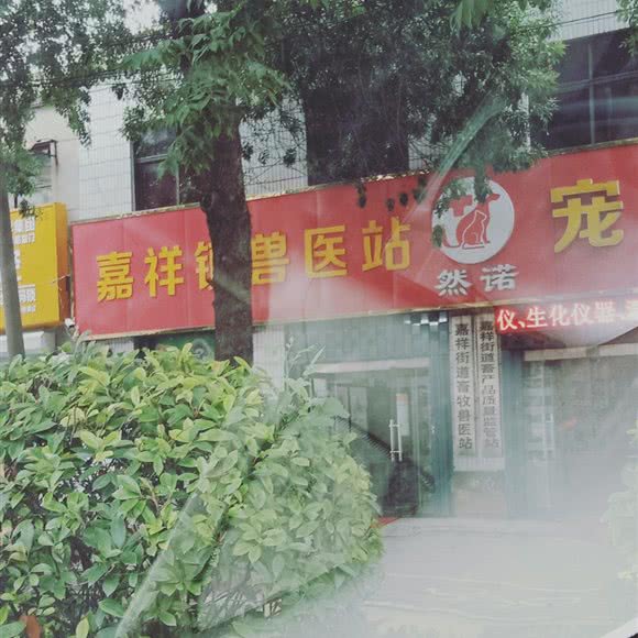 然诺宠物医院:济宁市嘉祥县