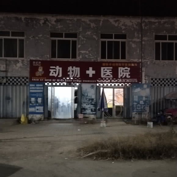 动物+医院:济宁市嘉祥县