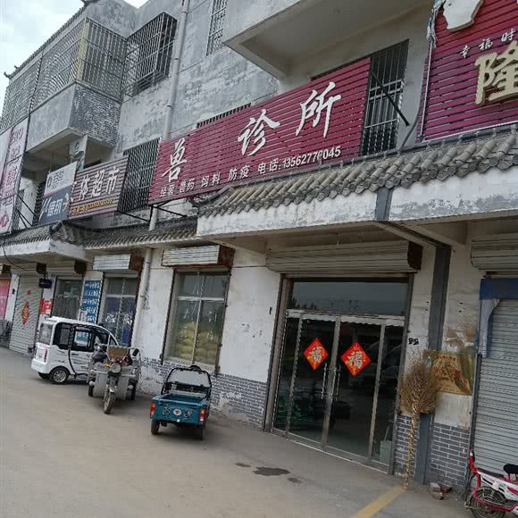兽医诊所:济宁市汶上县