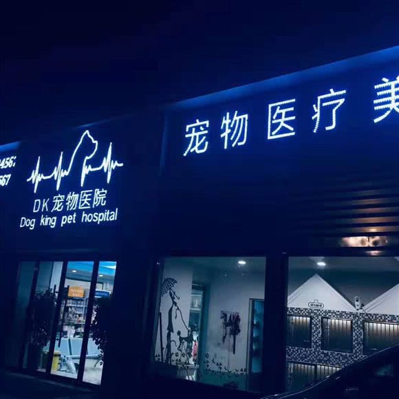 DK宠物医院:济宁市汶上县