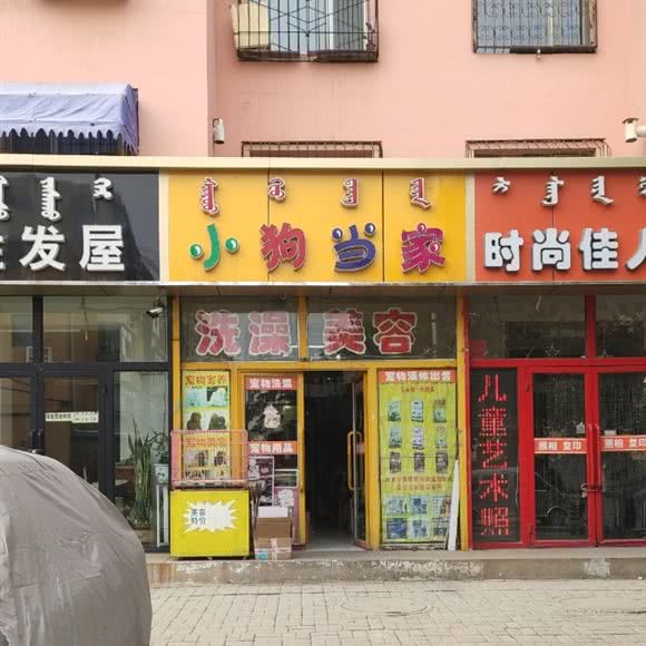 小狗当家宠物店:包头市东河区站北路附近
