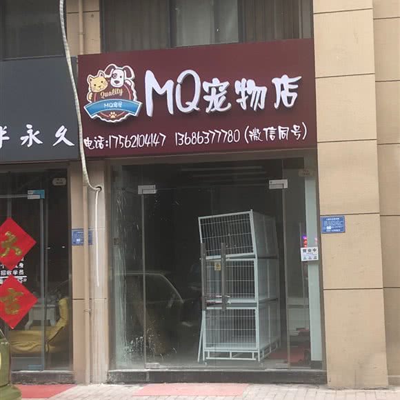mq宠物店:济宁市梁山县