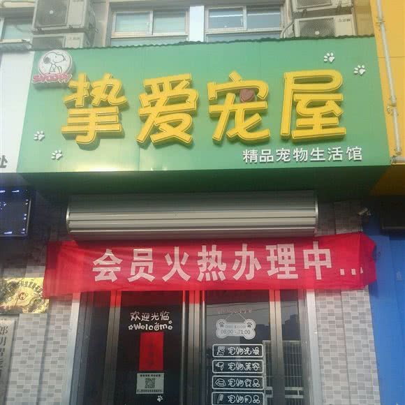 挚爱宠屋(丽景花园店):济宁市梁山县
