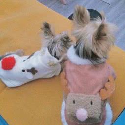 优家宠物生活馆:济宁市曲阜市