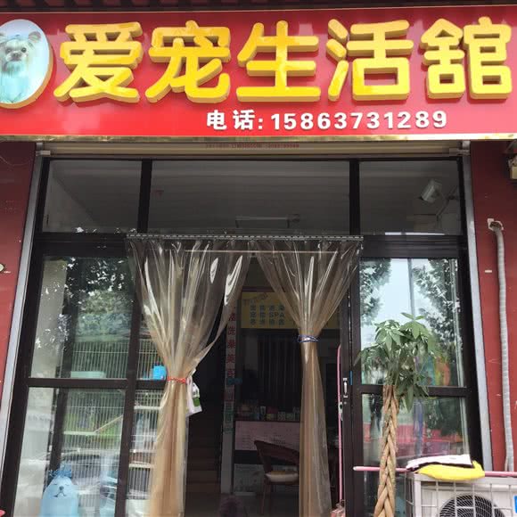 爱宠生活舘:济宁市曲阜市