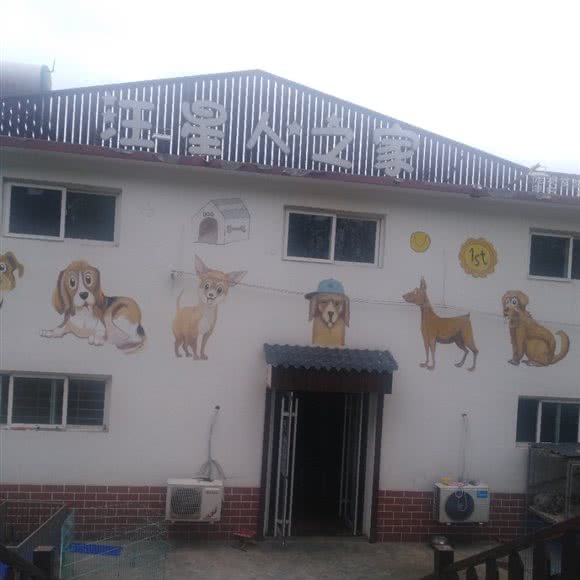 汪星人之家:济宁市曲阜市