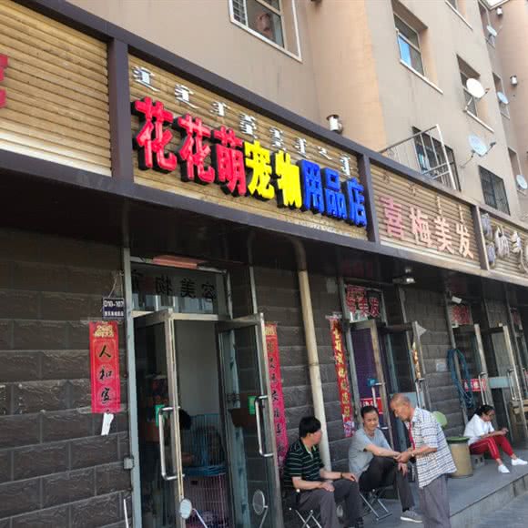 花花萌宠物用品店:包头市东河区北粱新区北区附近