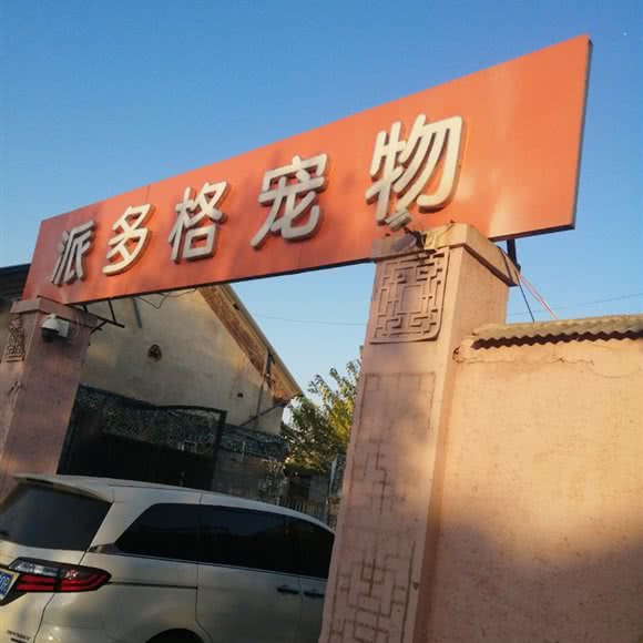 派多格宠物(共青团路店):济宁市邹城市
