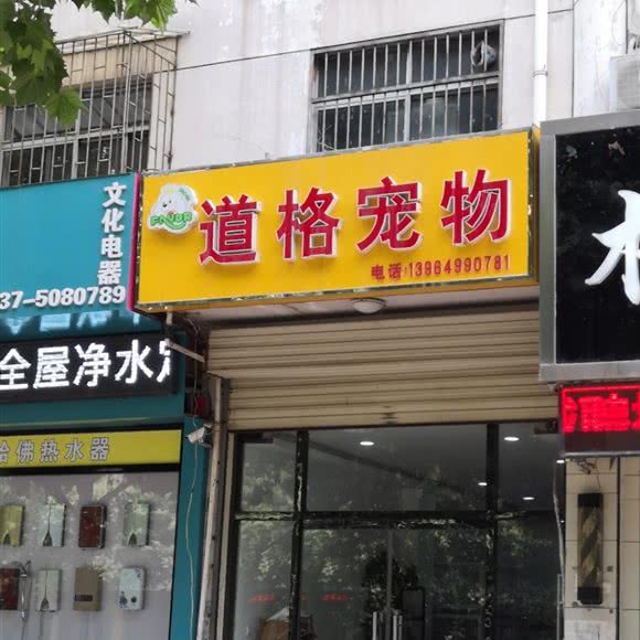 道格宠物:济宁市邹城市