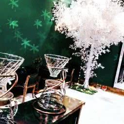 露喵爱宠:包头市东河区维多利?新天地附近