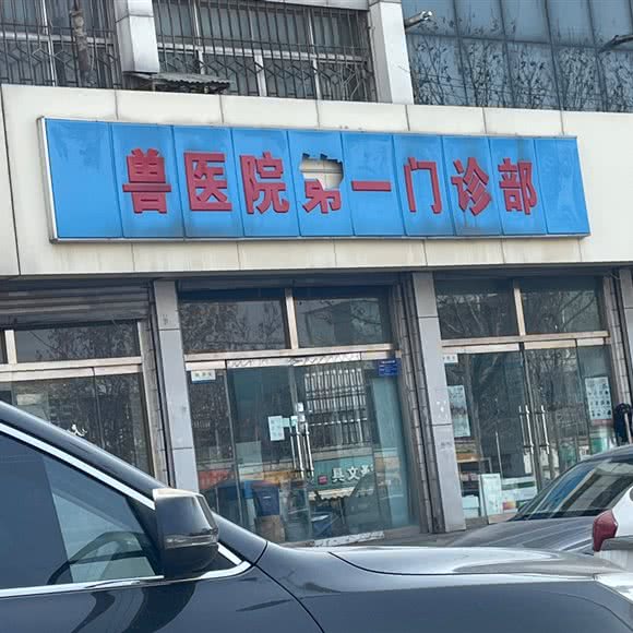 兽医院第一门诊部:济宁市邹城市