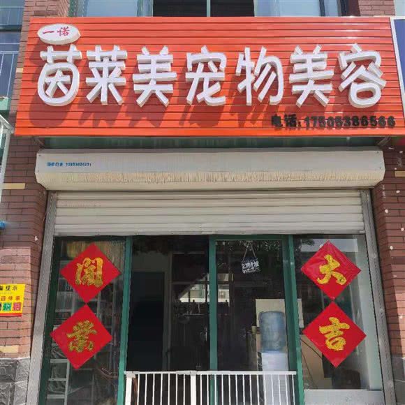 茵莱美宠物美容:泰安市泰山区