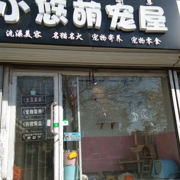 小悠萌宠屋:包头市昆都仑区太阳城附近