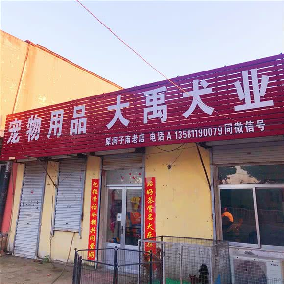 大禹犬业:泰安市泰山区