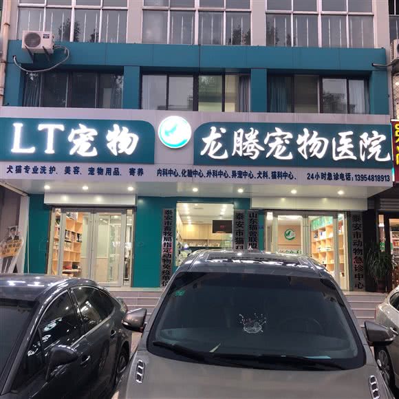龙腾宠物医院(二中店):泰安市泰山区