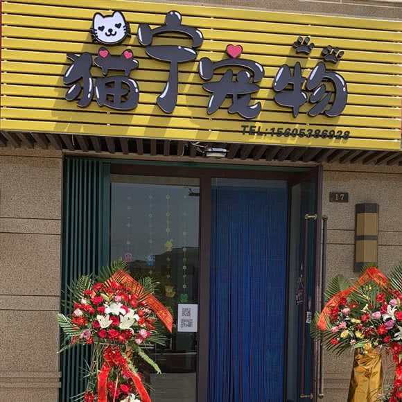 猫宁宠物:泰安市岱岳区