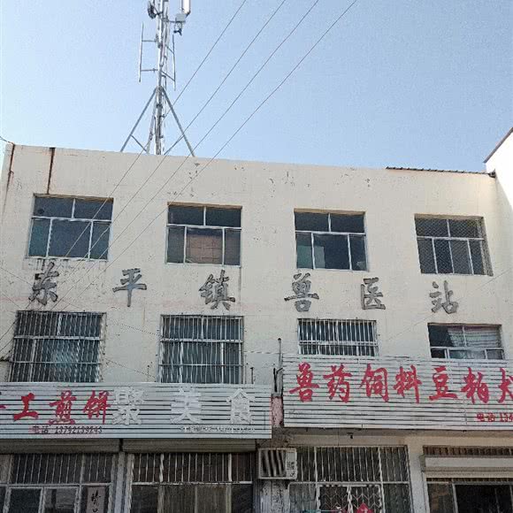 东平镇兽医站:泰安市东平县
